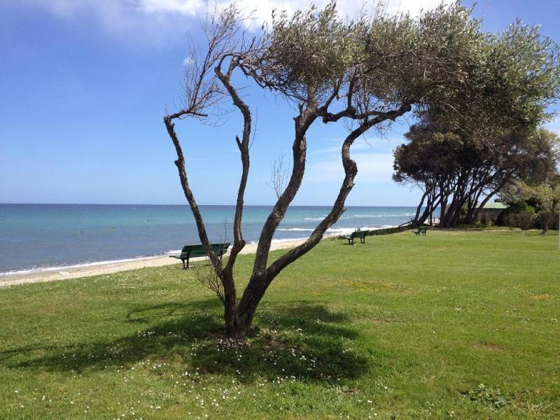 סרביון Studio A 100M De La Plage Et De La Piscine מראה חיצוני תמונה