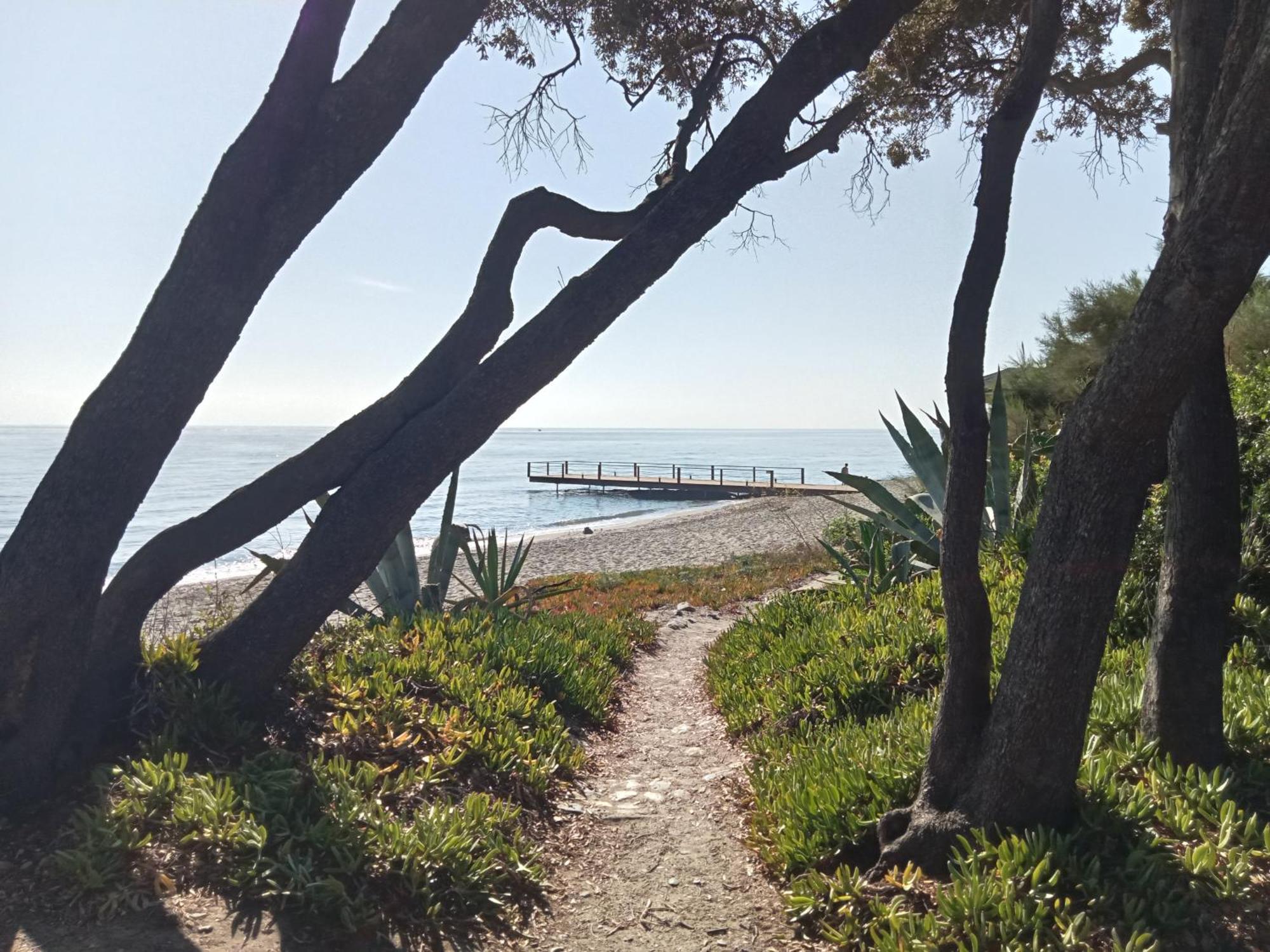 סרביון Studio A 100M De La Plage Et De La Piscine מראה חיצוני תמונה